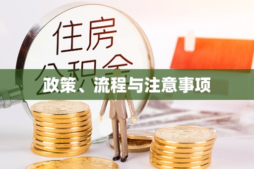 罗定政策、流程与注意事项