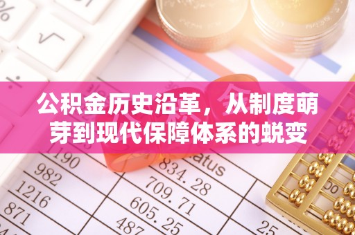 罗定公积金历史沿革，从制度萌芽到现代保障体系的蜕变