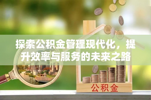 罗定探索公积金管理现代化，提升效率与服务的未来之路