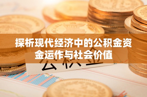 罗定探析现代经济中的公积金资金运作与社会价值
