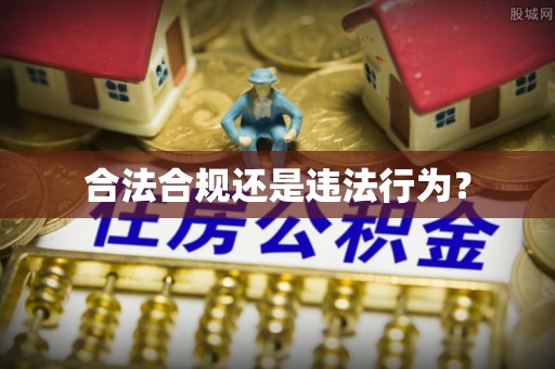 罗定合法合规还是违法行为？