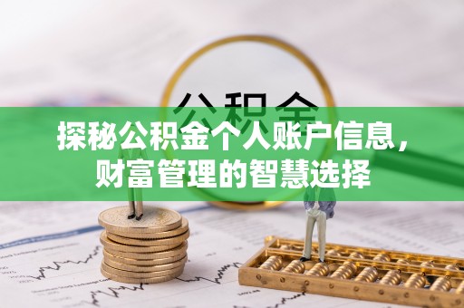 罗定探秘公积金个人账户信息，财富管理的智慧选择