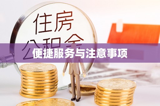 罗定便捷服务与注意事项