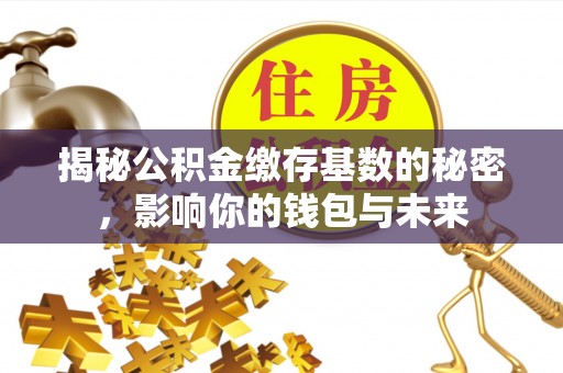 罗定揭秘公积金缴存基数的秘密，影响你的钱包与未来