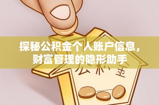 罗定探秘公积金个人账户信息，财富管理的隐形助手