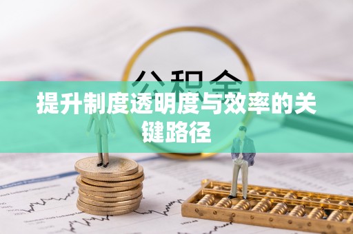 罗定提升制度透明度与效率的关键路径
