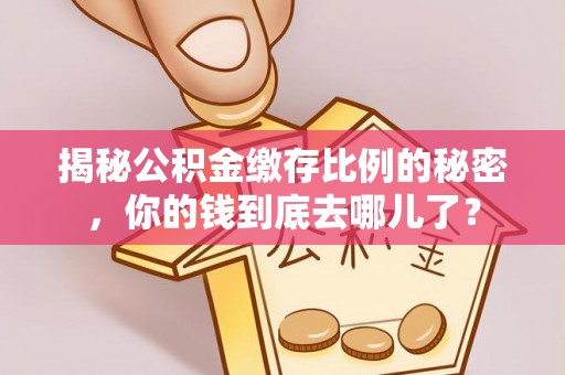 罗定揭秘公积金缴存比例的秘密，你的钱到底去哪儿了？