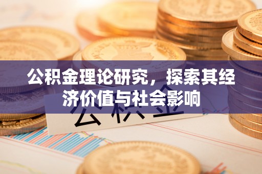 罗定公积金理论研究，探索其经济价值与社会影响