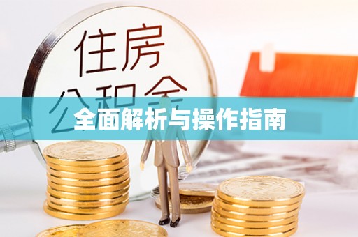 罗定全面解析与操作指南