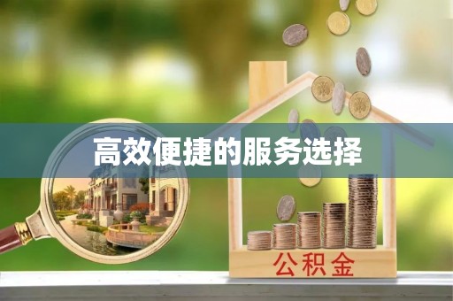 罗定高效便捷的服务选择