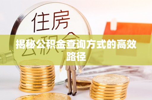 罗定揭秘公积金查询方式的高效路径